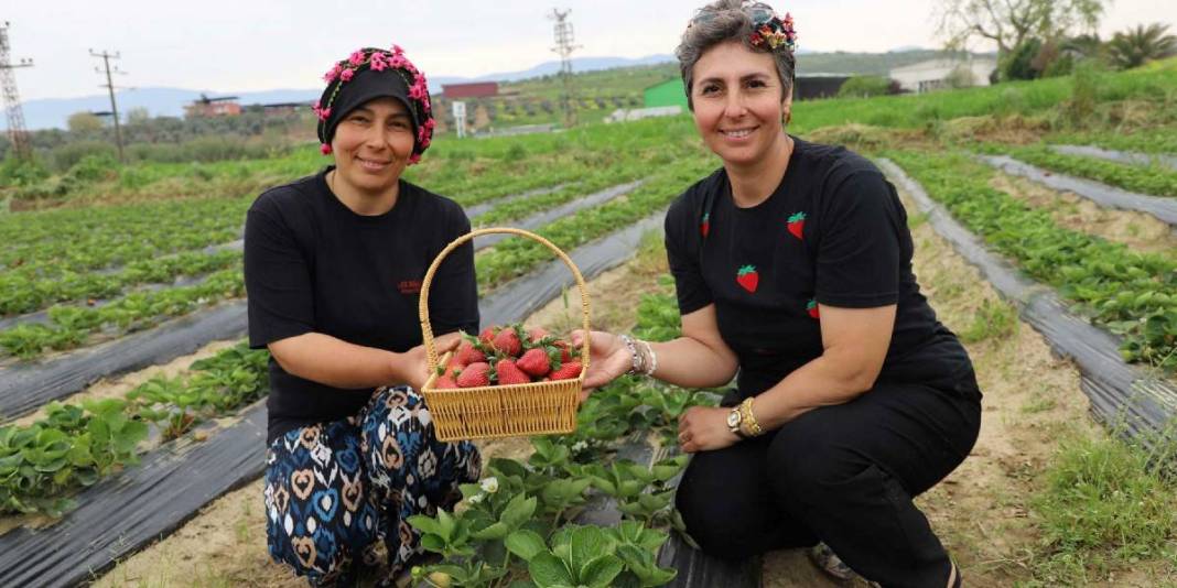 Sıcaklıklar arttı hasat başladı: Kadınların emeğiyle bölge ekonomisine katkıda bulunuyor 3